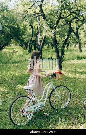 Teilweise mit Blick auf die junge Frau in Kleid Holding retro Fahrrad mit Weidenkorb voller Reife äpfel an Land Stockfoto