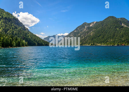 Lakee Plansee, Blick von Ost Küste, Ufer, türkisfarbenes Wasser, See, Berge, Tiroler Alpen, Reutte, Tirol Stockfoto