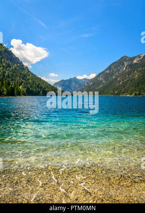 Lakee Plansee, Blick von Ost Küste, Ufer, türkisfarbenes Wasser, See, Berge, Tiroler Alpen, Reutte, Tirol Stockfoto