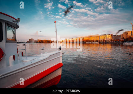 Traditionelle Dampfer auf der Alster im Vordergrund. Goldener Herbst Licht bei Sonnenuntergang. Möwen kreisen über Wasser. Hamburg, Deutschland Stockfoto