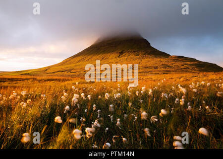 Baumwolle Gras im Abendlicht, Mount Kirkjufell mit Peak in Wolken, in der Nähe von Grundarfjördur, Snaefellsnes, West Island Stockfoto