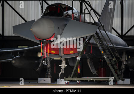 08. Oktober 2018, Mecklenburg-Vorpommern, Laage: ein Eurofighter der Tactical Air Force Squadron 73 teinhoff' in Rostock-Laage steht an der Air Base in einer Halle. Foto: Rainer Jensen/dpa Stockfoto