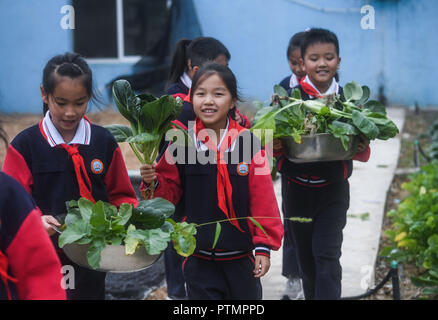 Huzhou, der chinesischen Provinz Zhejiang. 10 Okt, 2018. Die Studierenden führen ausgewählte Gemüse in die schulkantine an Donglin Volksschule in Donglin Stadt Huzhou Stadt, der ostchinesischen Provinz Zhejiang, Okt. 10, 2018. Die Plantage von Donglin Grundschule in der erntezeit vor kurzem. Credit: Xu Yu/Xinhua/Alamy leben Nachrichten Stockfoto