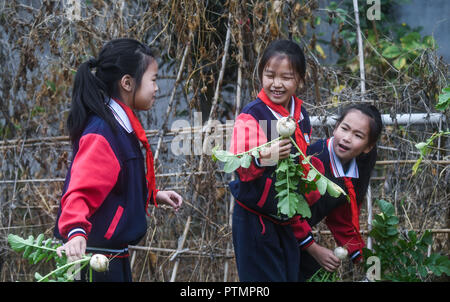 Huzhou, der chinesischen Provinz Zhejiang. 10 Okt, 2018. Die Studierenden wählen Gemüse an der Plantage von Donglin Volksschule in Donglin Stadt Huzhou Stadt, der ostchinesischen Provinz Zhejiang, Okt. 10, 2018. Die Plantage von Donglin Grundschule in der erntezeit vor kurzem. Credit: Xu Yu/Xinhua/Alamy leben Nachrichten Stockfoto