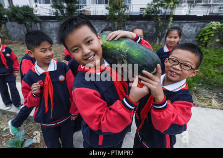 Huzhou, der chinesischen Provinz Zhejiang. 10 Okt, 2018. Die Studierenden führen ausgewählte Gemüse in die schulkantine an Donglin Volksschule in Donglin Stadt Huzhou Stadt, der ostchinesischen Provinz Zhejiang, Okt. 10, 2018. Die Plantage von Donglin Grundschule in der erntezeit vor kurzem. Credit: Xu Yu/Xinhua/Alamy leben Nachrichten Stockfoto