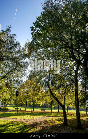 Worsley, Manchester. 10.Oktober 2018. UK Wetter: herrlich warmen Herbst Sonnenschein grüßt morgen Wanderer in Worsley, Manchester als mini Indian Summer im Nordwesten Englands schlägt. Eine Bank unter den gefallenen Blätter in Parr Falten Park. Bild von Paul Heyes, Mittwoch, den 10. Oktober 2018. Credit: Paul Heyes/Alamy leben Nachrichten Stockfoto