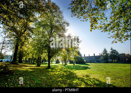 Worsley, Manchester. 10.Oktober 2018. UK Wetter: herrlich warmen Herbst Sonnenschein grüßt morgen Wanderer in Worsley, Manchester als mini Indian Summer im Nordwesten Englands schlägt. Eine Frau geht mit ihrem Hund durch Worsley Grün. Bild von Paul Heyes, Mittwoch, den 10. Oktober 2018. Credit: Paul Heyes/Alamy leben Nachrichten Stockfoto