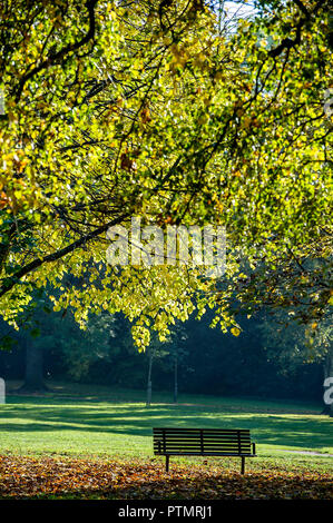 Worsley, Manchester. 10.Oktober 2018. UK Wetter: herrlich warmen Herbst Sonnenschein grüßt morgen Wanderer in Worsley, Manchester als mini Indian Summer im Nordwesten Englands schlägt. Eine Bank unter den gefallenen Blätter in Parr Falten Park. Bild von Paul Heyes, Mittwoch, den 10. Oktober 2018. Credit: Paul Heyes/Alamy leben Nachrichten Stockfoto