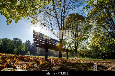 Worsley, Manchester. 10.Oktober 2018. UK Wetter: herrlich warmen Herbst Sonnenschein grüßt morgen Wanderer in Worsley, Manchester als mini Indian Summer im Nordwesten Englands schlägt. Eine Bank unter den gefallenen Blätter in Parr Falten Park. Bild von Paul Heyes, Mittwoch, den 10. Oktober 2018. Credit: Paul Heyes/Alamy leben Nachrichten Stockfoto