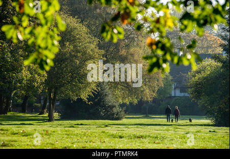 Worsley, Manchester. 10.Oktober 2018. UK Wetter: herrlich warmen Herbst Sonnenschein grüßt morgen Wanderer in Worsley, Manchester als mini Indian Summer im Nordwesten Englands schlägt. Ein paar Gehminuten ihre Hunde auf Worsley Grün. Bild von Paul Heyes, Mittwoch, den 10. Oktober 2018. Credit: Paul Heyes/Alamy leben Nachrichten Stockfoto