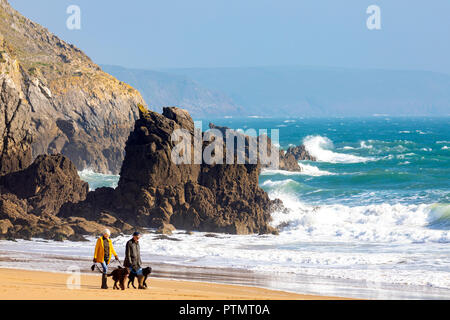 Ein paar wenige ihre Hunde zusammen entlang der beeindruckenden Barrafundle Bucht mit Wellen gegen die Küste, Pembrokeshire, Wales Stockfoto