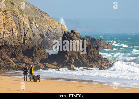 Ein paar wenige ihre Hunde zusammen entlang der beeindruckenden Barrafundle Bucht mit Wellen gegen die Küste, Pembrokeshire, Wales Stockfoto