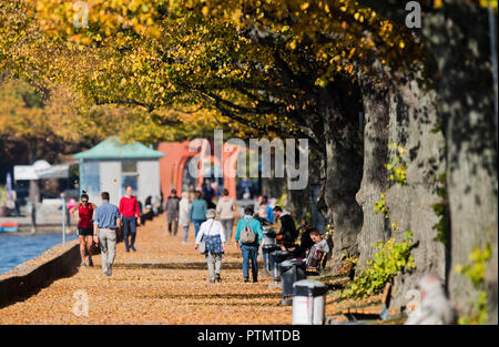 Hannover, Niedersachsen. 10 Okt, 2018. Wanderer gehen für einen Spaziergang am Maschsee. Credit: Julian Stratenschulte/dpa/Alamy leben Nachrichten Stockfoto
