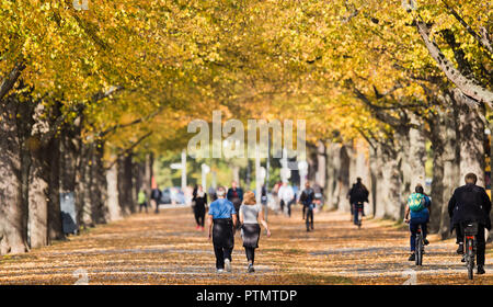 Hannover, Niedersachsen. 10 Okt, 2018. Wanderer zu Fuß durch eine autumnally verfärbt Avenue auf der Rudolf-von-Bennigsen-Ufer. Credit: Julian Stratenschulte/dpa/Alamy leben Nachrichten Stockfoto