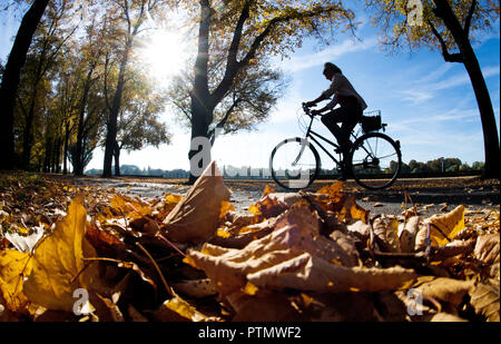 Hannover, Niedersachsen. 10 Okt, 2018. Ein Radfahrer fährt in Sonnenschein durch eine autumnally verfärbt Avenue auf der Rudolf-von-Bennigsen-Ufer. Credit: Julian Stratenschulte/dpa/Alamy leben Nachrichten Stockfoto