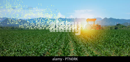Iot Smart Farming, Landwirtschaft in der Industrie 4.0-Technologie mit künstlicher Intelligenz und Machine Learning Konzept. Es helfen zu verbessern, kategorisiert, Stockfoto
