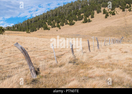 Ländliche Landschaft Szene aus einer Reihe von rustikalen, verwitterte Zaunpfosten und Stacheldraht Kreuzung grasartige Felder auf einer Ranch im Norden von New Mexico Stockfoto