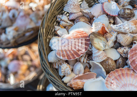 Schöne Muscheln angezeigt in Körben Stockfoto