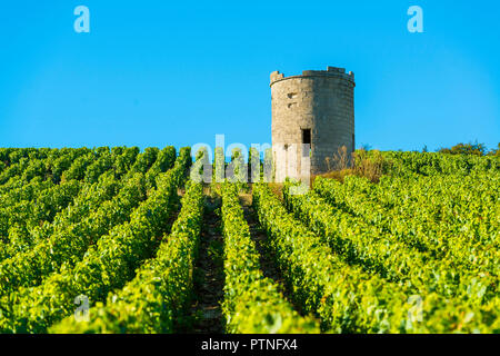 Bligny (nord-östlichen Frankreich). Das Dorf liegt in der Mitte des Weinbaugebiet Region "Côte des Bar" (zwischen Bar-sur-Aube und Bar-sur-Seine Stockfoto