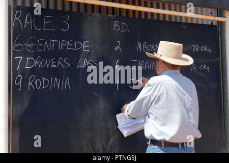 Landor, Station, Outback, Jackaroo, Aussie, Pferd, Australien, Stockmann, Austra Stockfoto