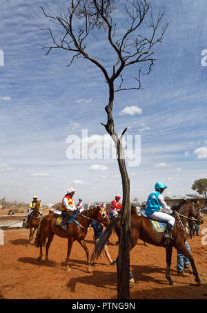 Landor, Station, Outback, Jackaroo, Aussie, Pferd, Australien, Stockmann, Austra Stockfoto