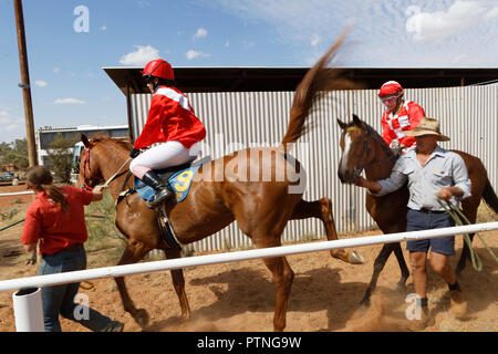 Landor, Station, Outback, Jackaroo, Aussie, Pferd, Australien, Stockmann, Austra Stockfoto