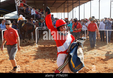 Landor, Station, Outback, Jackaroo, Aussie, Pferd, Australien, Stockmann, Austra Stockfoto