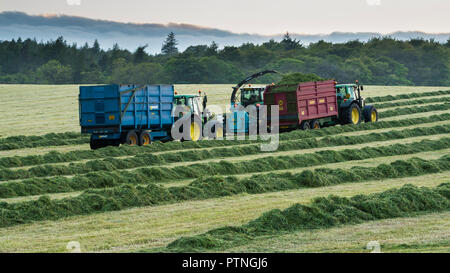 Arbeiten im landwirtschaftlichen Bereich, 1 Traktor Abschleppen des Feldhäckslers & 2 Traktoren mit Anhänger Sammeln von geschnittenem Gras für Silage - Yorkshire, England, UK. Stockfoto