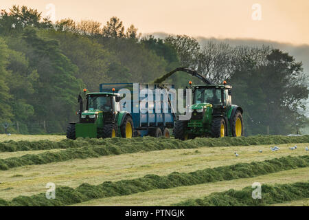 2 Traktoren Arbeiten im landwirtschaftlichen Bereich, 1 Traktor Abschleppen des Feldhäckslers & 1 Sammeln von geschnittenem Gras für Silage in Anhänger - Yorkshire, England, GB, UK Stockfoto