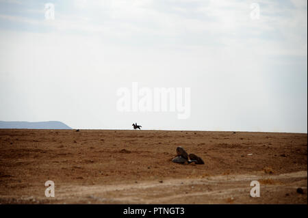 Panoramablick von der Autobahn des Königs, die über die hohe Kante des Great Rift Valley swoops. in Jordanien Stockfoto