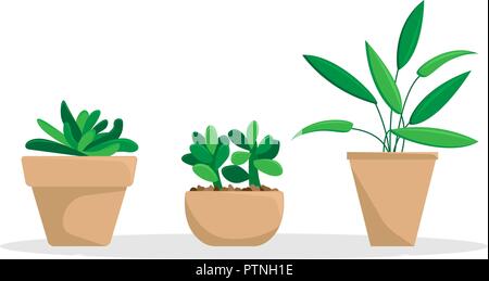 Satz von drei Topfpflanzen. Flache Vector Illustration. Stock Vektor