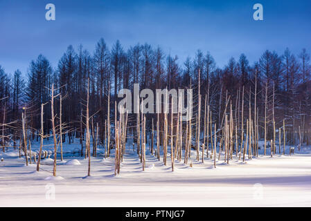 Biei, Japan in der Aoike blauen Teich im Winter in der Nacht. Stockfoto