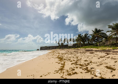 Unten am Strand bei bewölktem Himmel. Unten Bay ist einer der schönsten Strände auf der karibischen Insel Barbados. Es ist ein tropisches Paradies mit Pa Stockfoto