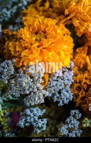 Orange und blaue Blumen im Strauß close-up Stockfoto