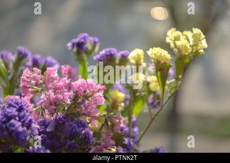 Sommer Blumen im Strauß schließen Stockfoto