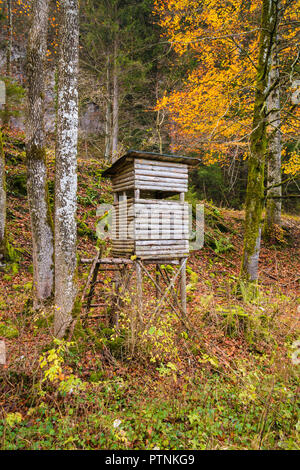 Holz- stabil Jagd blind (Jagd verstecken) in einem Wald am Rand des Feldes. Stockfoto