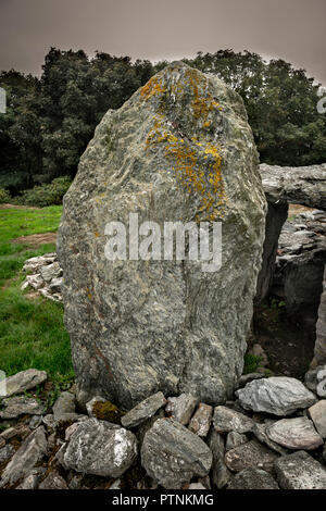 Trefignath neolithische Grabkammer, in der Nähe von Holyhead, Anglesey, Wales, Großbritannien Stockfoto