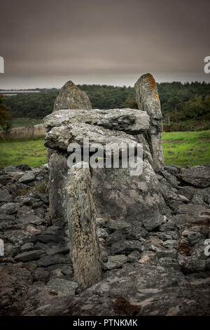 Trefignath neolithische Grabkammer, in der Nähe von Holyhead, Anglesey, Wales, Großbritannien Stockfoto