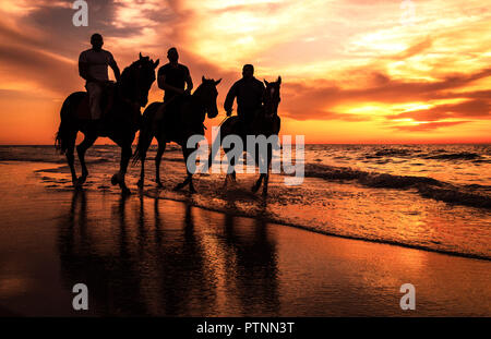 Eine Silhouette Foto von Reiter Reiten am Strand, Gaza - Palästina Stockfoto
