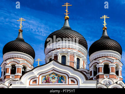 Alexander Nevsky Kathedrale Tallinn's größten und prächtigsten orthodoxen Kuppel der Kathedrale in der Altstadt von Tallinn Estland Stockfoto