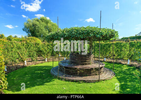 Orsan Garten, Frankreich: Sitzbank im Labyrinth Garten und Apfelbaum in Parasol (obligatorische Erwähnung der Garten Namen und keine Werbung w Stockfoto