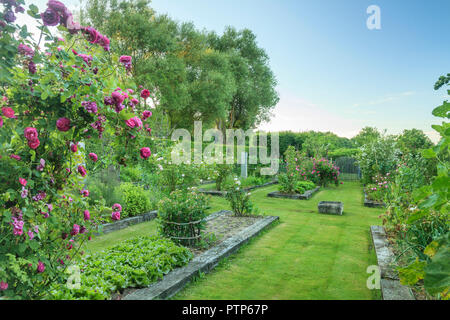 Orsan Garten, Frankreich: Die neue Maria Garten ein Rosengarten mit rosa und weißen Rosen (obligatorische Erwähnung der Garten Namen und keine Werbung uns Stockfoto