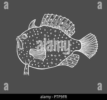 Lustige fisch Skizze Stil. Malbuch für Erwachsene und Kinder, Antistress Malvorlagen. Hand gezeichnet Vektor isoliert Abbildung auf schwarzen Hintergrund. Hen Stock Vektor