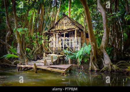 Hütte im Wald und Mangroven an einem Flussufer an der Indian River in Dominica, Haus ist in Fluch der Karibik Film als calypso Haus verwendet. Stockfoto