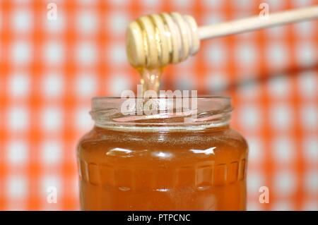 Gießen aromatische Golden poly Blumen Honig aus Holz- Pendelarm in Glas, weiß und orange Grid Hintergrund, Nahaufnahme, selektiver Fokus Stockfoto