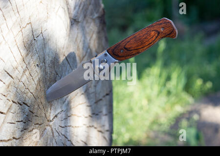 Taschenmesser gehaftet in einem hölzernen anmelden, close-up Stockfoto