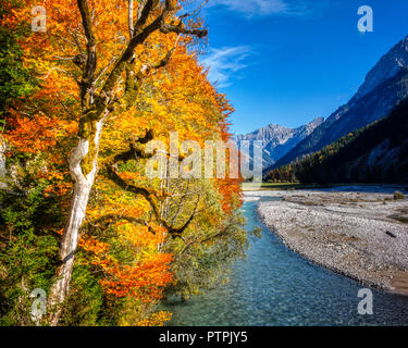 AT - Tirol: Rissbach Autuimn Wälder entlang, die zu den Großen Ahornboden im Ger (HDR-Bild) Stockfoto