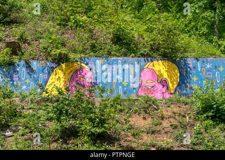 BRASOV, Rumänien - 19 Juni, 2018: Street Art in Brasov, Rumänien. Stockfoto