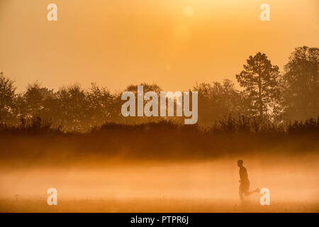 Ein Mann läuft durch den Nebel am frühen Morgen, wenn die Sonne aufgeht über Ackerland in der Nähe der Ortschaft unteren Wraxall in Wiltshire. Stockfoto