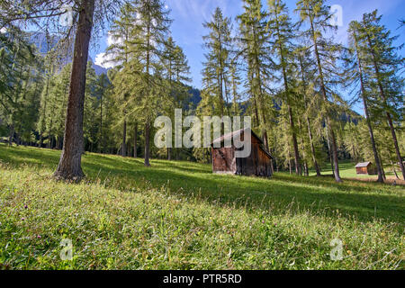 Hütten der Bauern, Wiese und Kiefernwald entlang der Fischleintal (Val Fischleintal), Naturpark Sextner Dolomiten (Parco Naturale Dolomiti di Sesto), Italien Stockfoto